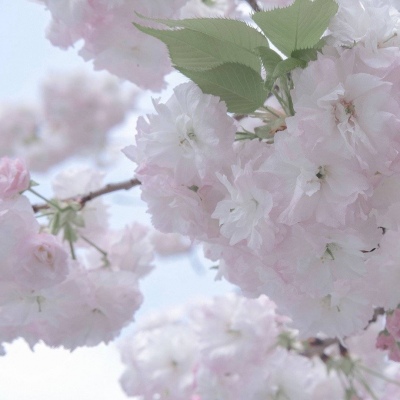 兽设沙漠场景设计福瑞群